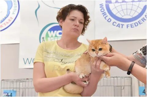 Клк