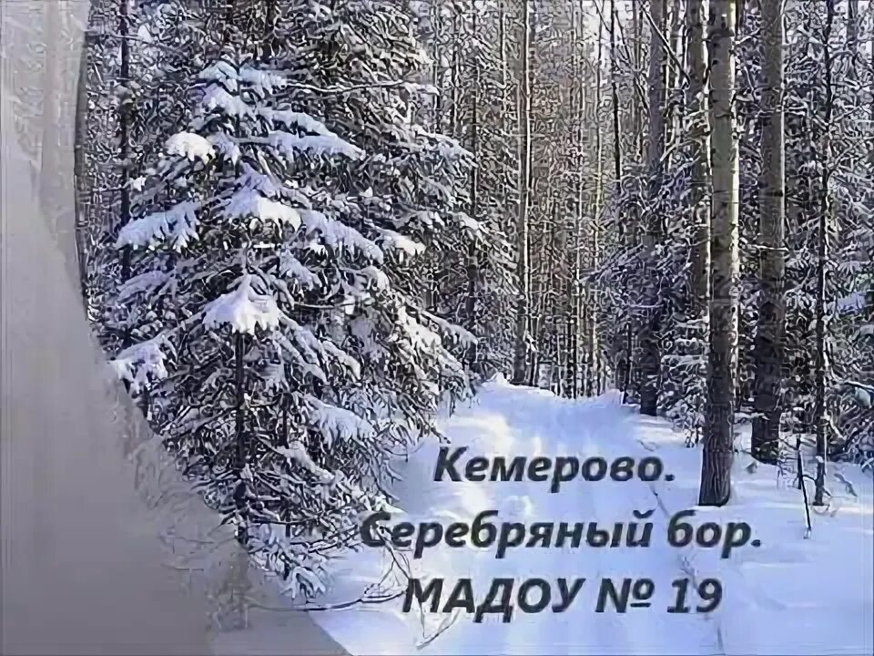 Серебряный бор 24 кемерово. Серебряный бор 27 кемерово. Серебряный бор кемерово 24 к1. Серебряный бор кемерово. Серебряные ручьи кемерово.