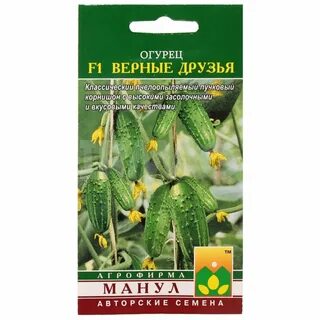 Огурцы сорт верные друзья