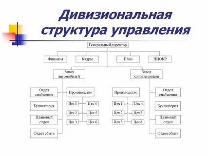 Виды организационных принципов