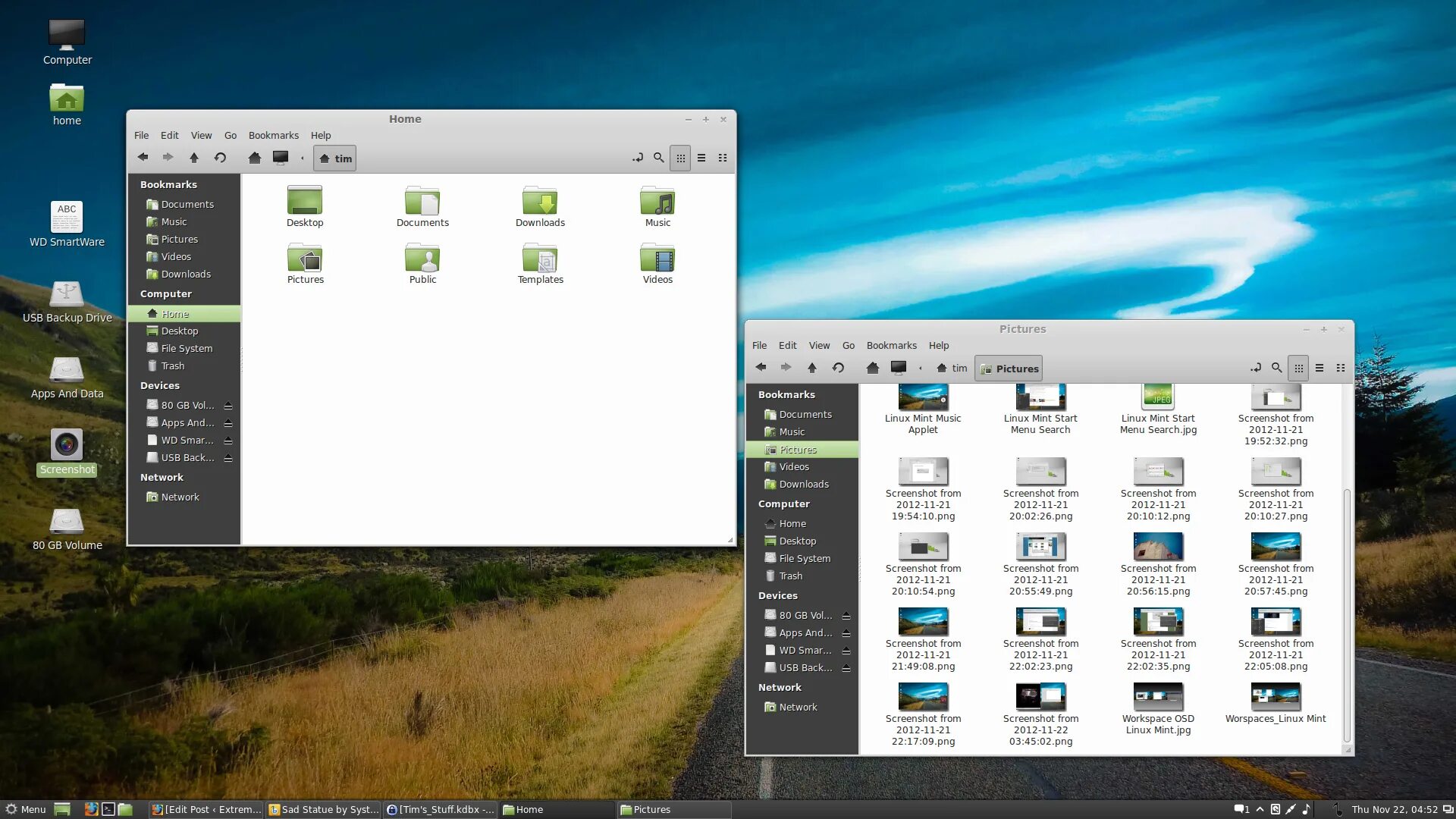Линукс для дома. Linux mint интерфейс. линукс операционная система минт. интерфейс линукс минт. ос linux mint интерфейс.