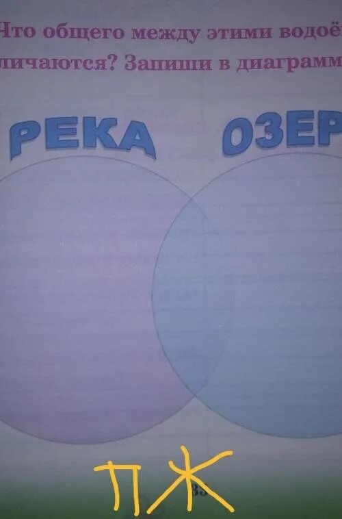 Что общего 4 в 1. Что общего между рекой и озером и чем они различаются. что общего между рекой и озером. запиши ответ что общего между картинками. что общего между словами озеро и река.
