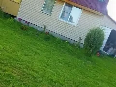 Медведево ярославль