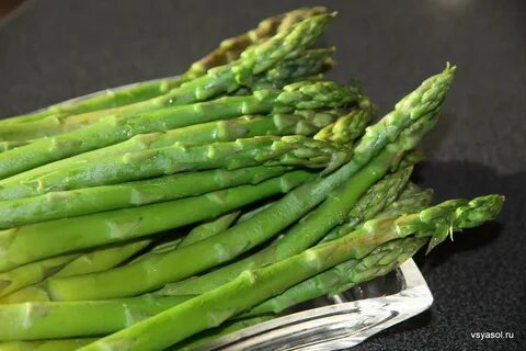 Asparagus перевод