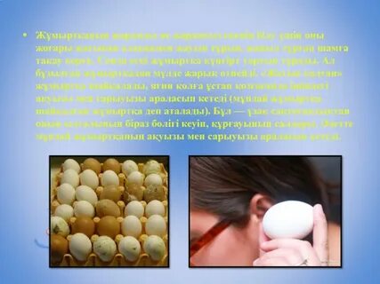 Кез келген гей порно