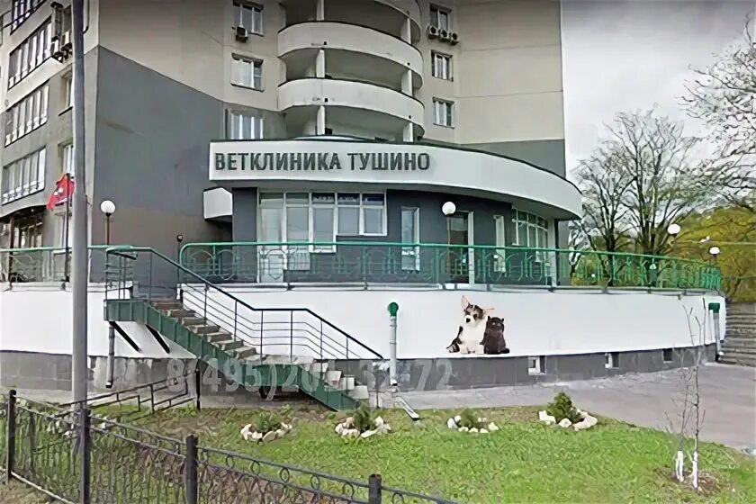 Станция по борьбе с болезнями животных юао. Ветклиника на цветочном в тушино. Свободы 65 москва. Ветеринарная в тушино. Ветклиника на цветочном в тушино.
