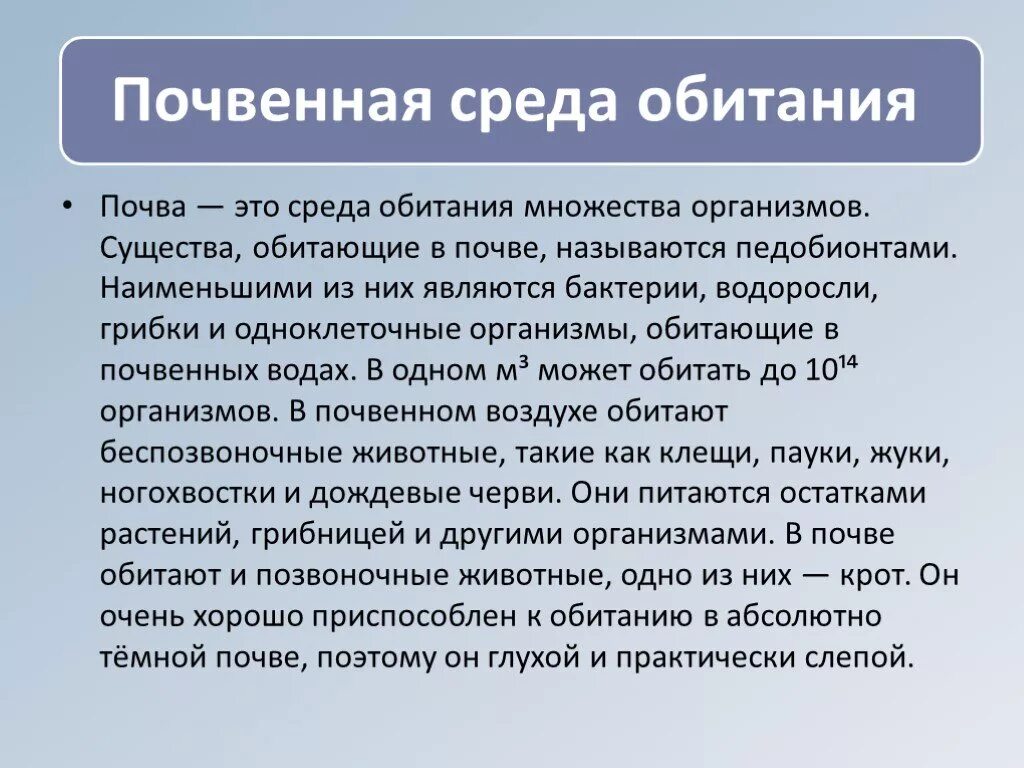 Конспект урока почвенная среда. Почвенная среда обитания. Почвенная среда обитания кратко. Почвенная среда обитания определение. Сообщение о почвенной среде обитания.