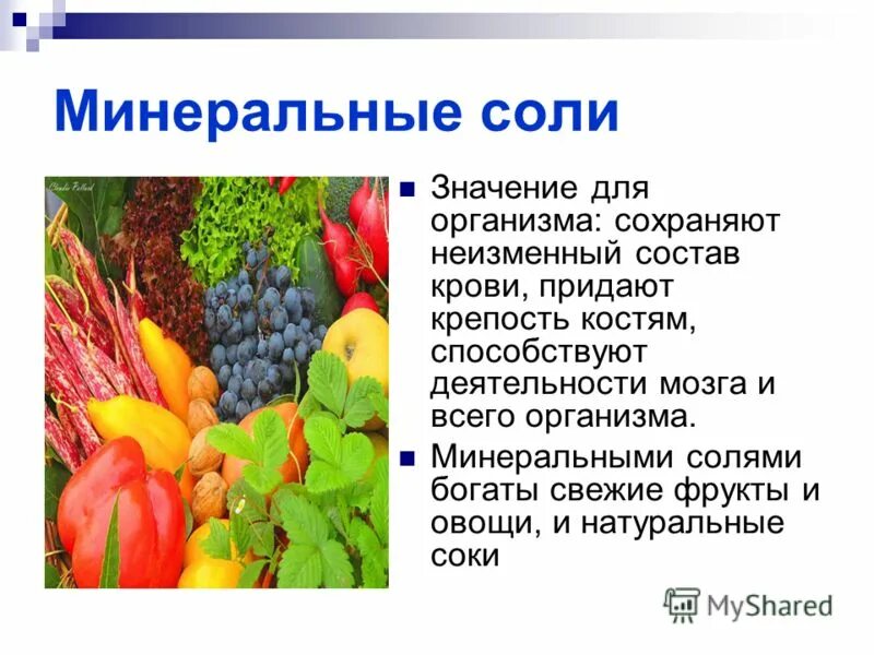 Значение минеральных солей кратко