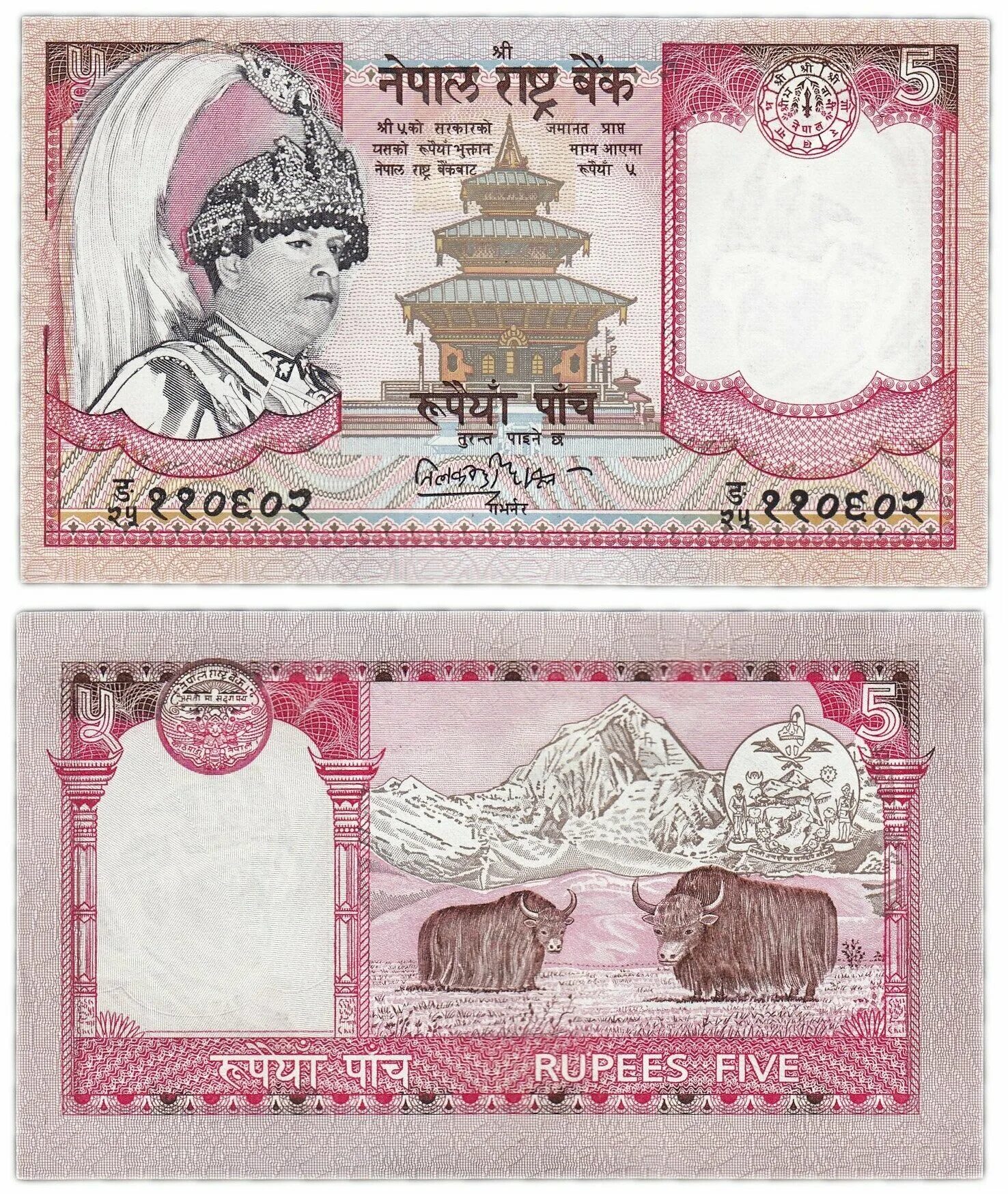 Денежная единица непала. Банкноты непала. валюта непала. rupees five банкноты. 5 рупий непал.