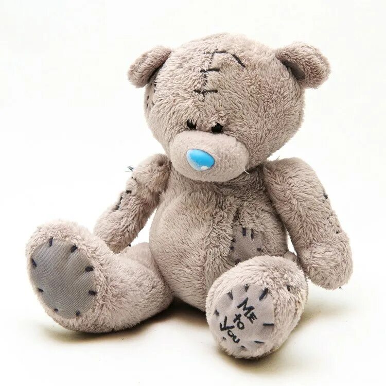 Таин с ртмунком плюшеаые мищеи. Физзи мун. Медвежонок рисунок. Мишка со звездой. Медвежонок картинка для детей.