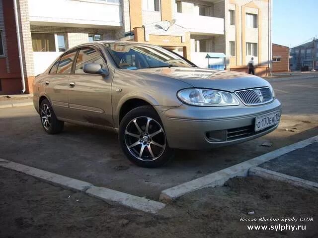 Диски bluebird sylphy. Nissan bluebird sylphy 2003. nissan sylphy 2003. ниссан блюберд силфи 2003 года. ниссан блюберд силфи на дисках.