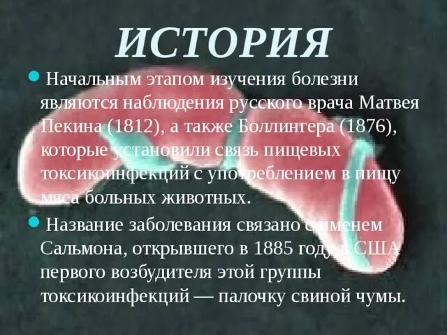 История болезни сальмонеллез. Сальмонеллез симптомы кратко. Проявление заболевания сальмонеллеза. Сальмонеллез сообщение.