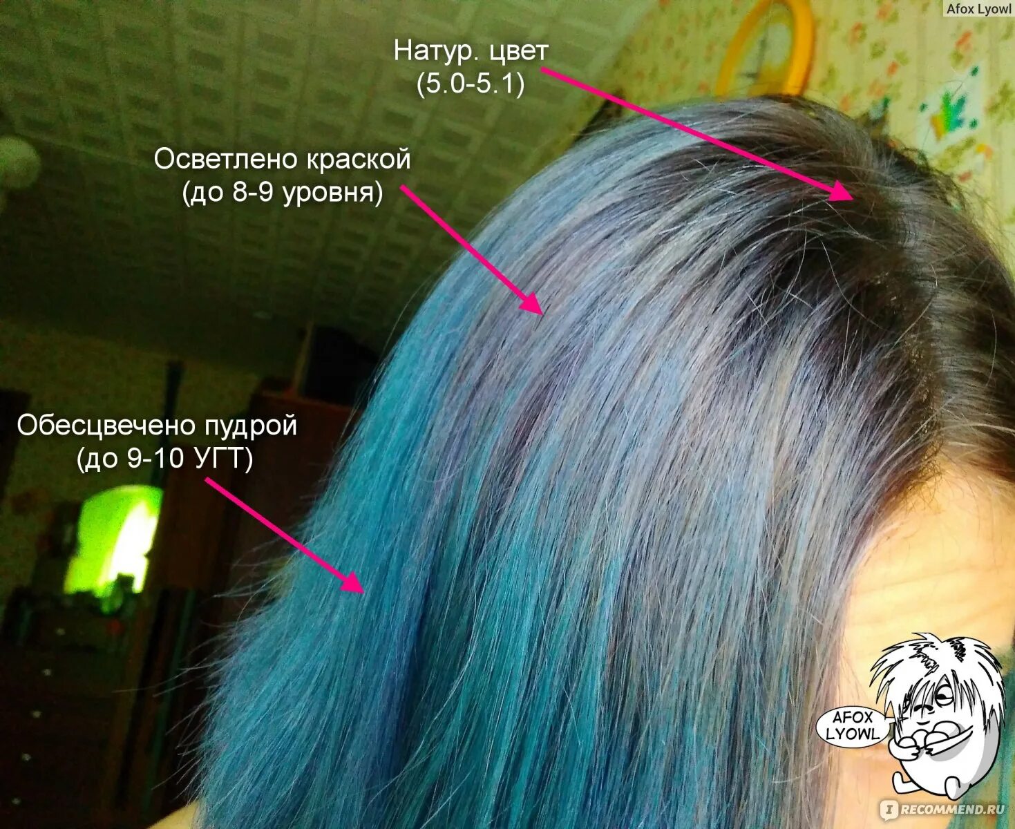 Смывка прямого пигмента с волос. Синяя смывающаяся краска. Смывка синего пигмента с волос. Смывшийся синий цвет на волосах. Щелочная смывка для волос