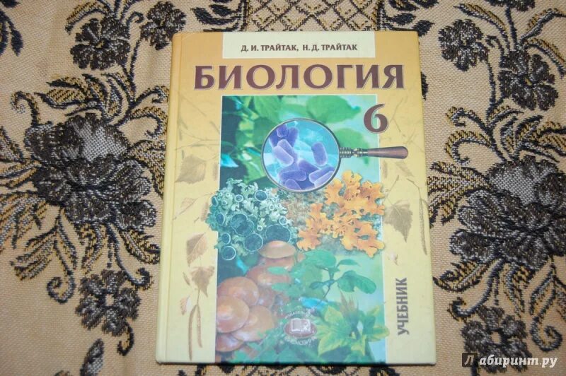 Читать биологию 6 класс плешакова. Биология 6 класс Трайтак 5 6 класс. Биология 5 класс д.Трайтак. Биология 6 класс растения грибы Трайтак. Биология 6 класс учебник Трайтак.