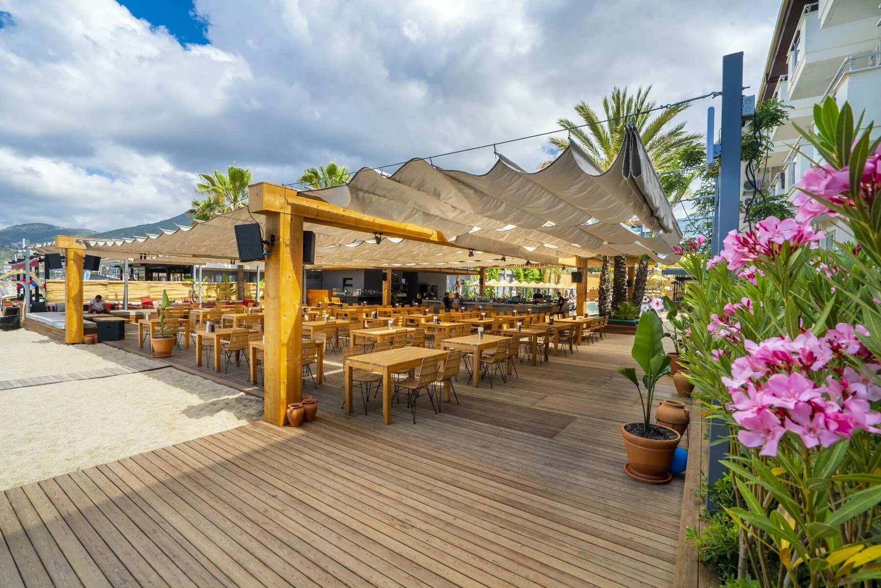 Кукс клаб алания. Турция cooks club. Кук клаб алания. Отель cooks club alanya adults only (+12) 4. Отель cooks.