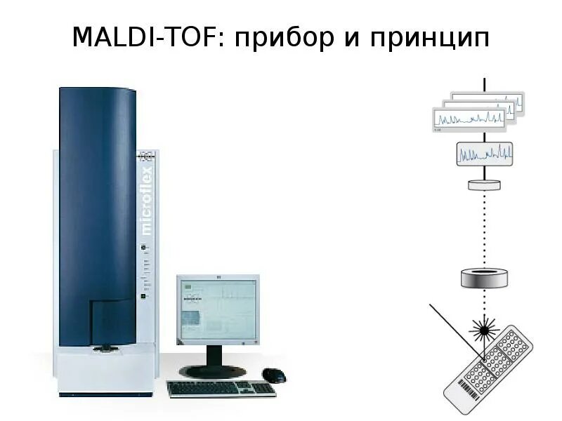 Maldi tof масс-спектрометрия. Матрица maldi. Maldi tof масс-спектрометр купить. Времяпролетная масс-спектрометрия maldi-tof. Maldi tof.