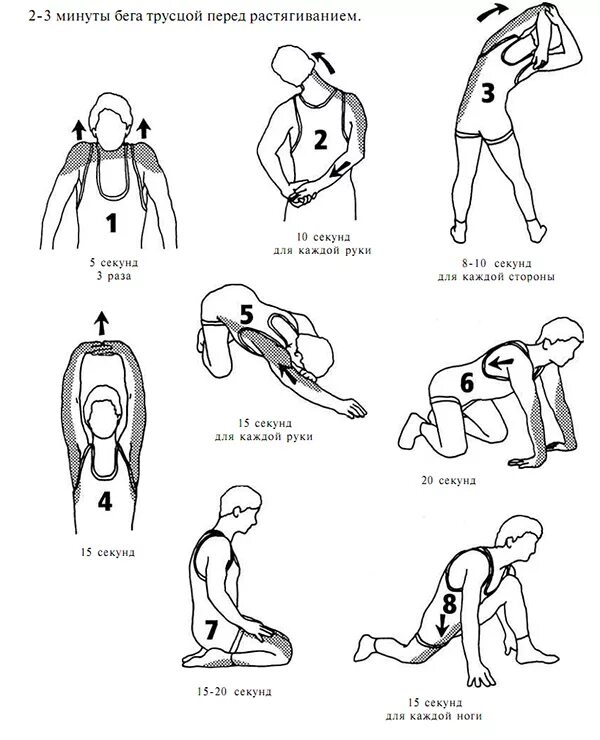 Разминка перед нагрузкой. Схема разминки перед тренировкой. Упражнения для разминки и растяжки перед тренировкой. Упражнения для разминки перед бегом на растягивание мышц. Упражнения для разогрева мышц перед тренировкой в домашних.
