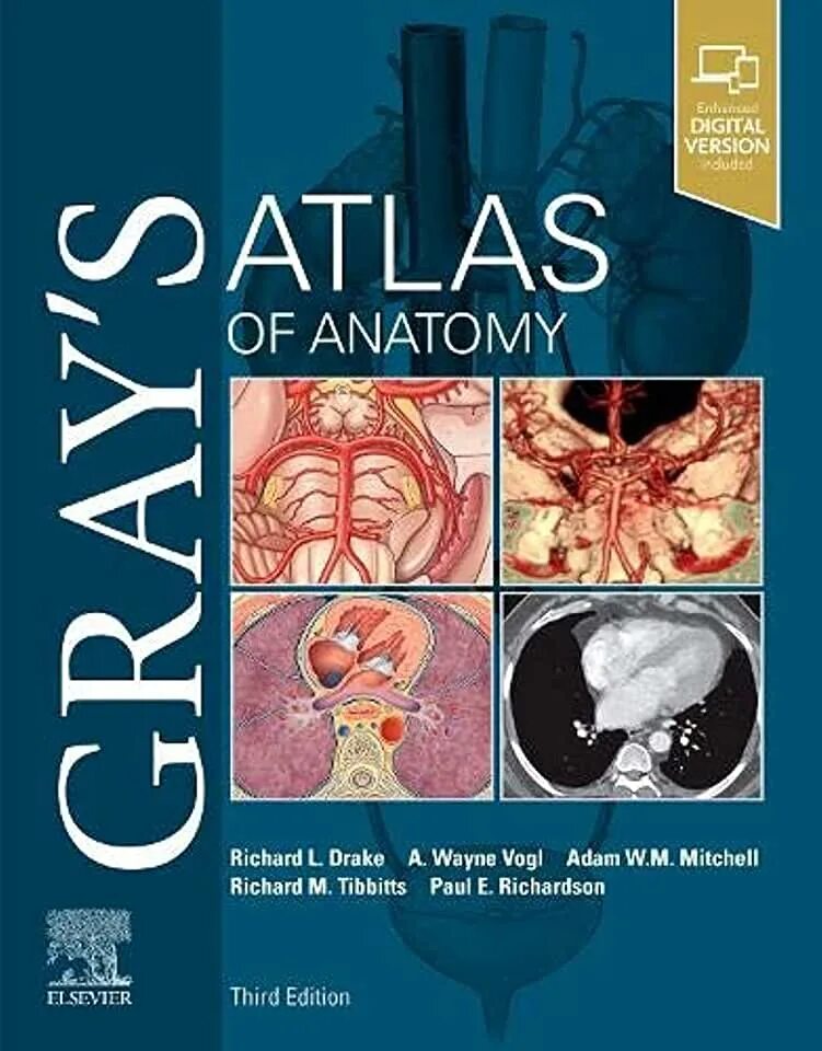 Атлас грея. Атлас анатомии Грея. Атлас Грея по анатомии. Дрейк - анатомия Грея для студентов. Анатомия Грея книга.