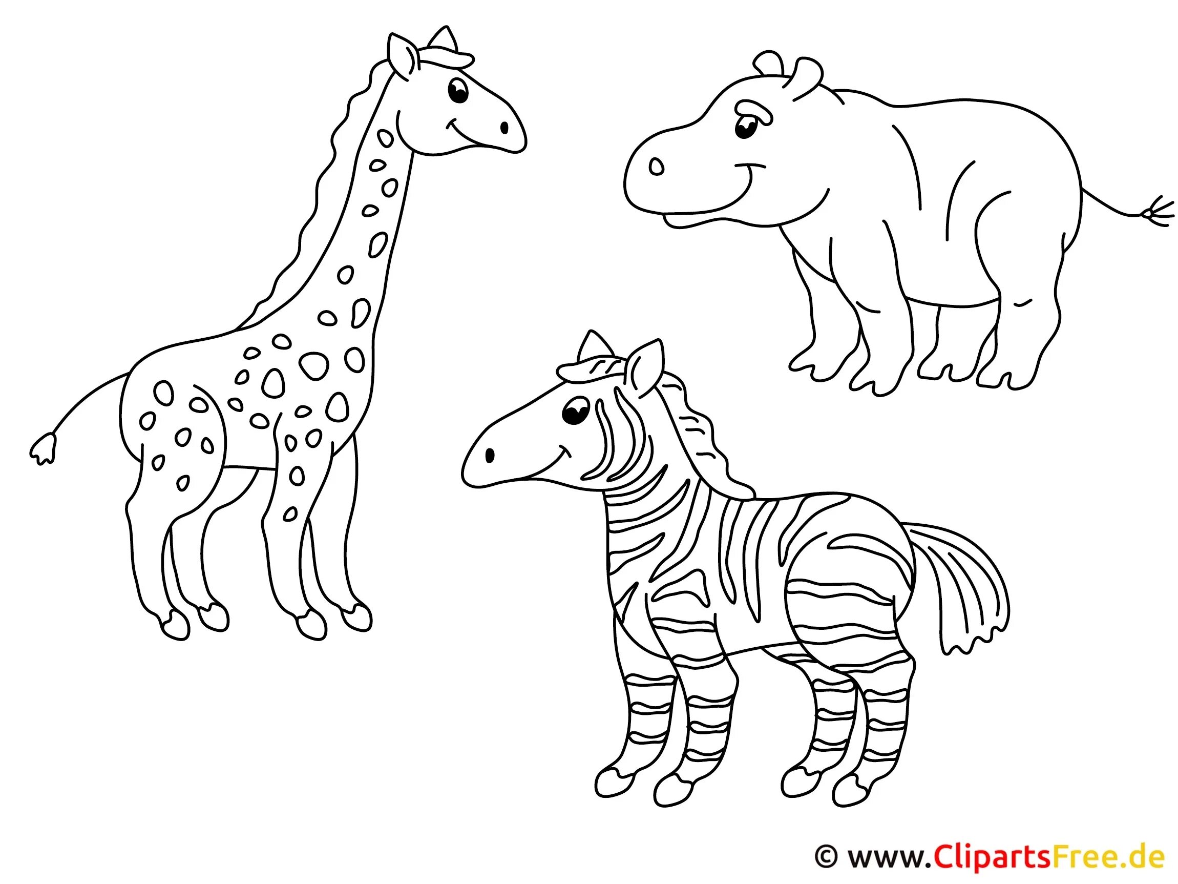 Раскраска группы животных. Зоопарк раскраска для детей. Раскраска для малышей. Зоопарк. Животные из зоопарка раскраски для детей. Зоопарк рисунок для детей раскраска.