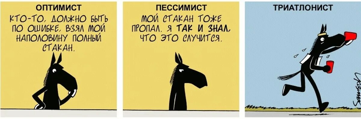 Оптимисты читать. Анекдот про оптимиста. Оптимист и пессимист прикол. Оптимист и пессимист про лошадку. Анекдот про оптимиста и пессимиста про лошадку.