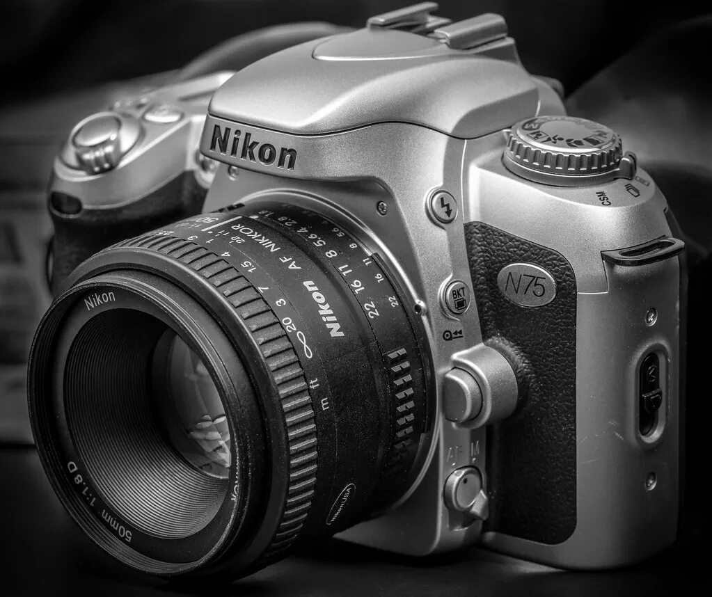 Nikon f75. Nikon f75. Nikon n75. Nikon n75. Nikon f65.