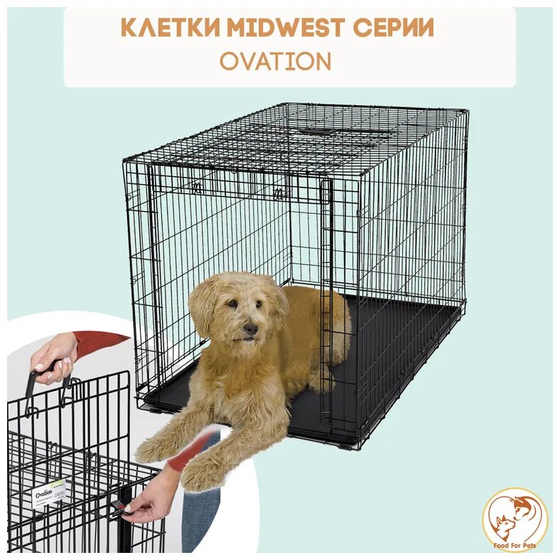 Клетка мл 1. Клетка д/грыз золотая клетка 30*23*21см, эмаль, (114). Клетка для джунгарика. , со скикдой. Клетка металл 17*17*h34.