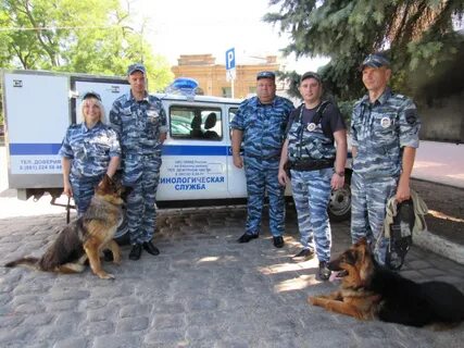 Сколько лет кинологической службе в 2024