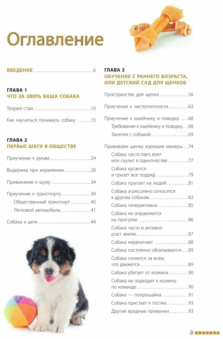 Дрессировка щенка. Команды для дрессировки. Команды для собак. Как учить собаку командам. Команды для дрессировки собак список.