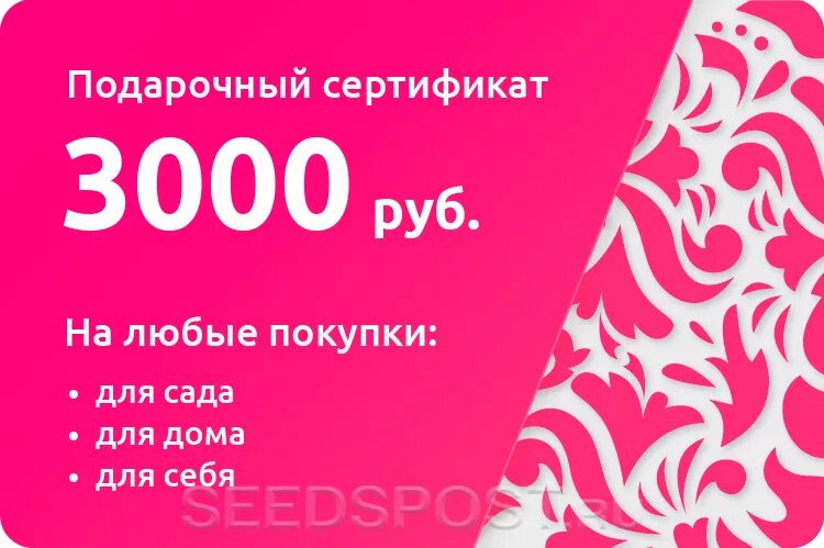 Подарочный сертификат 3000. Купон подарочный сертификат. Сертификат на 3000 рублей. Подарочный сертификат 3000 руб. 3000 рублей на карту