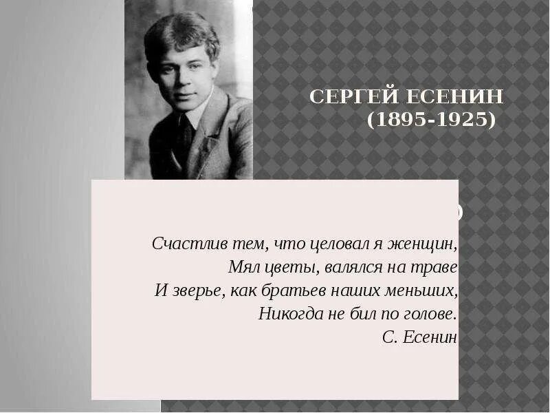 Стих есенина про мат. Стихи Есенина. Есенин с. "стихи".