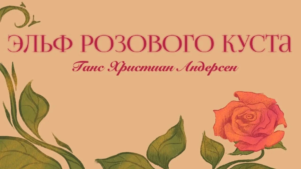 Эльф розового куста. Эльф розового куста андерсен. ганс христиан андерсен розовый куст отзыв.