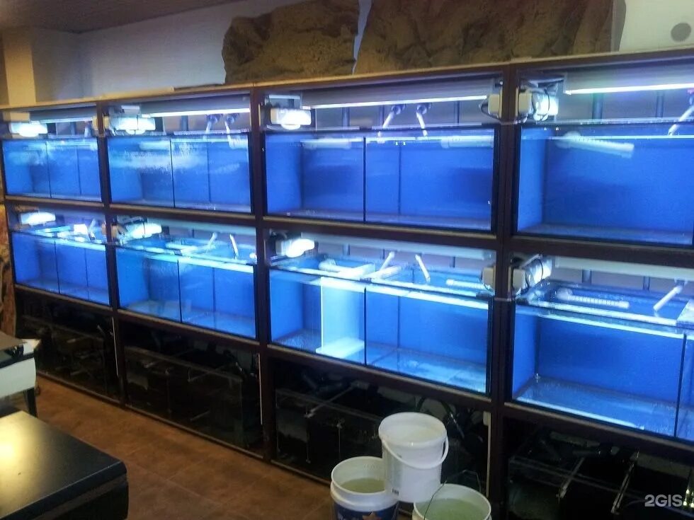 Оборудование для исследования взаимоотношения аквариумных рыбок