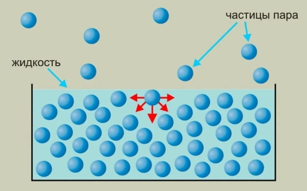 Сила притяжения молекул газа. Сила поверхностного натяжения жидкости физика. Поверхностное натяжение воды молекулы. Частицы вещества. Испарение воды молекулы.