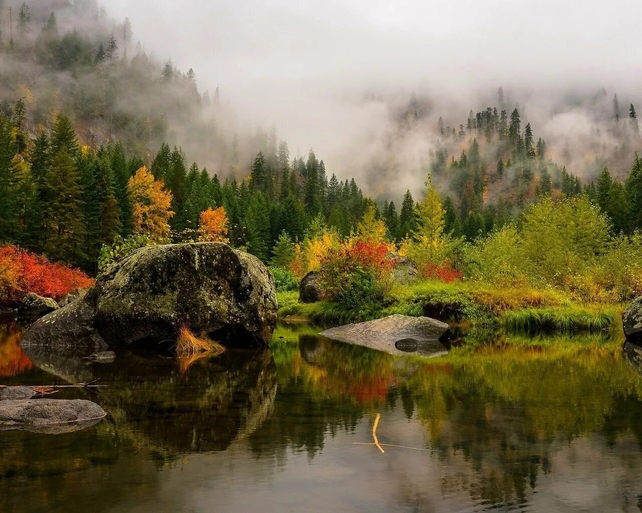 Ели у пруда. Лесное озеро (forest lake). Природа лес озеро. Альпийская горка с водоемом. Ели у пруда.