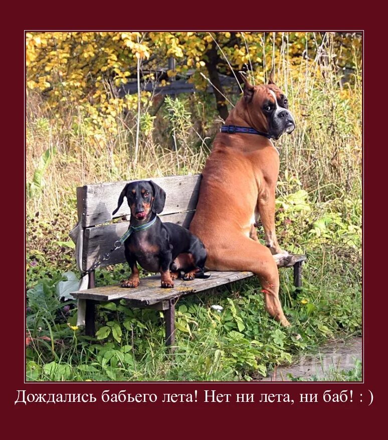 демотиваторы давай. дай только повод. мотиваторы про обнимашки. демотиваторы давай.