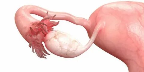 Ютубтағы порно: өгей қызы өгей әке орыс видеосы жасырын камера