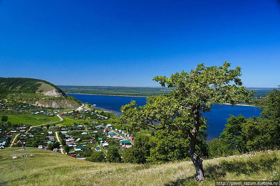 Сайт самарской луки. Панорама Самарской Луки.