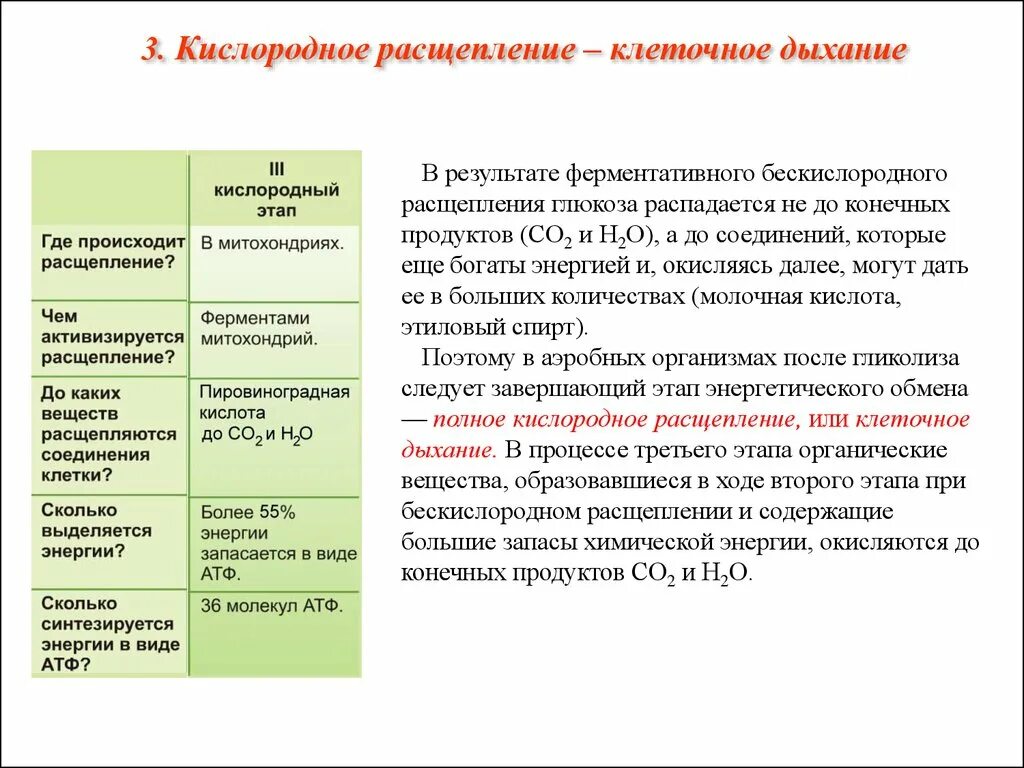 Кислородное дыхание клетки этапы. Кислородный этап энергетического обмена. Кислородный этап клеточного дыхания где происходит.