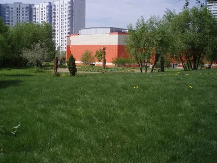 Парк школа искусств