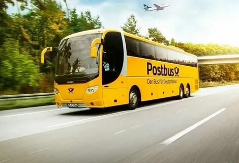 Buses but