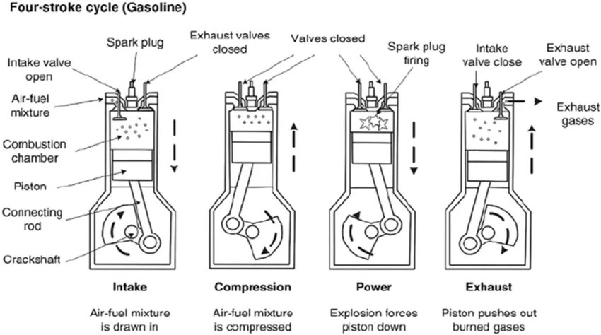 4 cycle