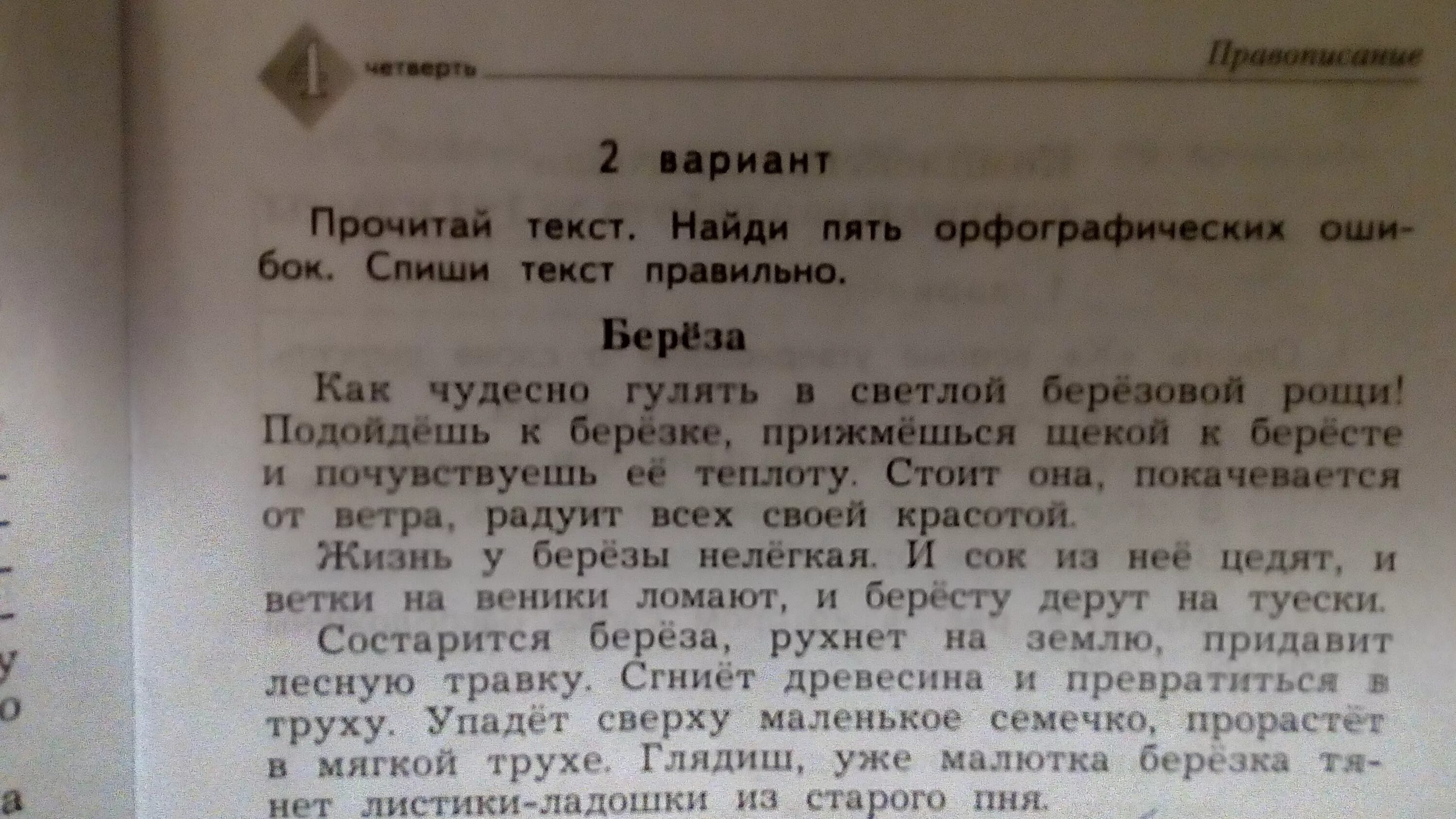 Варианты слово читать. Диктант. Диктант береза. Чтение текста по фото. Добрая береза диктант.