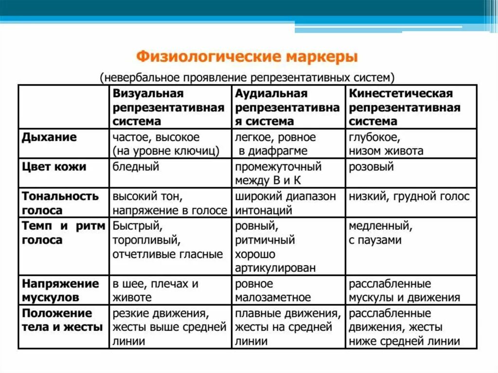 Репрезентативные системы восприятия. Репрезентативная система таблица. Особенности визуальной репрезентативной системы. Репрезентативные системы человека. Типы репрезентативных систем человека.