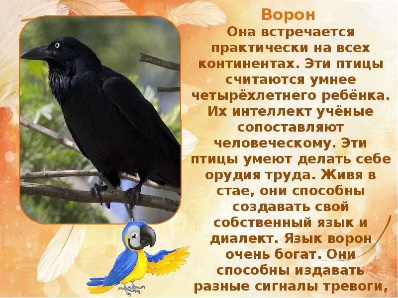 10 самых умных
