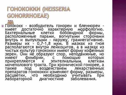 Гонококки это