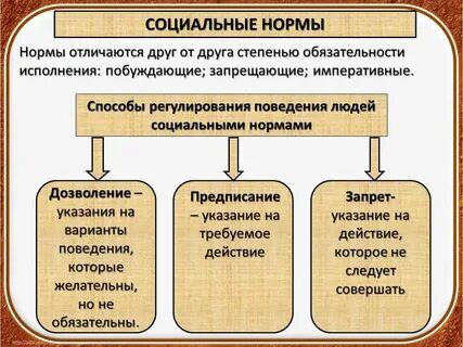 Какое поведение желательно или обязательно примеры