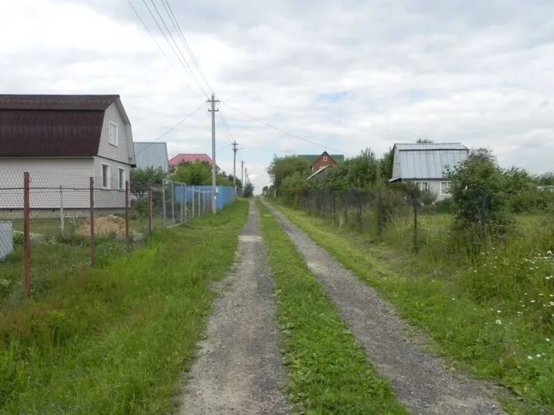 Снт ветерок. Снт ветерок. Пруд в снт. Участок ветерок. Снт раздолье.