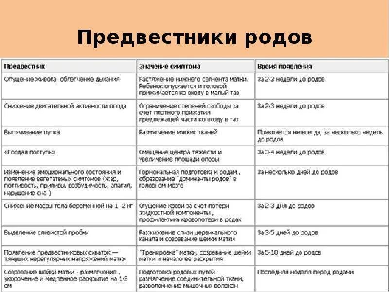 40 недель а схваток нет. Предвестники родов. Роды предвестники родов. Предаестникиродов. Предвестники родов у первородящих перед родами.