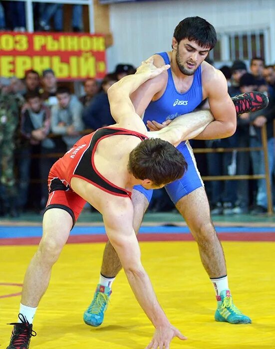 Абиев абакар ахмедович вольная борьба. Магомедов саид вольная борьба. Имам мадиев. Дибиров магомед магомедович wrestdag. Джалилов шихсаид вольная борьба.
