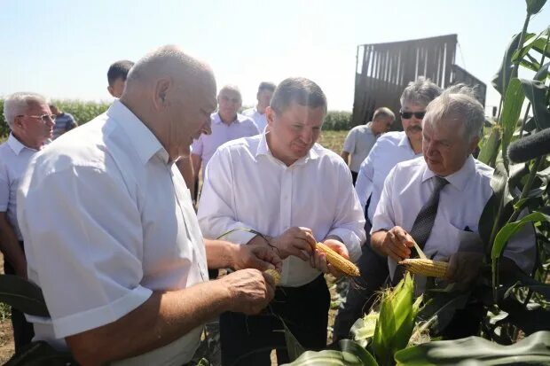 Погода пархоменко волгоградской области. СП Донское Калачевский район. Животноводческий комплекс в Калачевском районе. ООО СП Донское Калачевского района Волгоградской области.